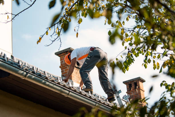 Best Shingle Roofing Installation  in Lubeck, WV