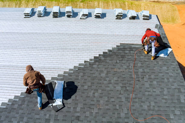 Best Roof Maintenance Services  in Lubeck, WV