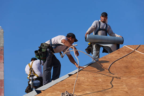 Best Roof Gutter Cleaning  in Lubeck, WV