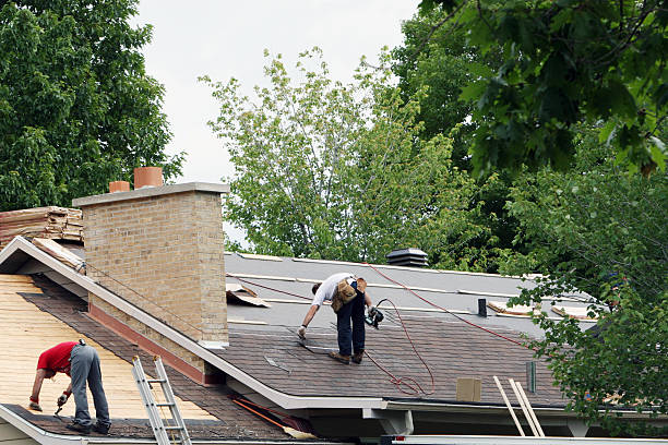 Best Gutter Installation and Roofing  in Lubeck, WV