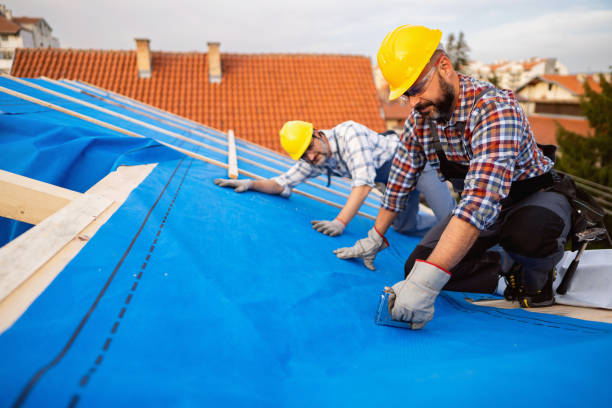 Best Flat Roof Repair Services  in Lubeck, WV
