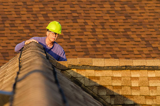 Best Roof Replacement Cost  in Lubeck, WV