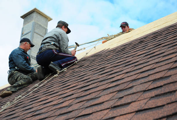 Best Affordable Roofing Company  in Lubeck, WV