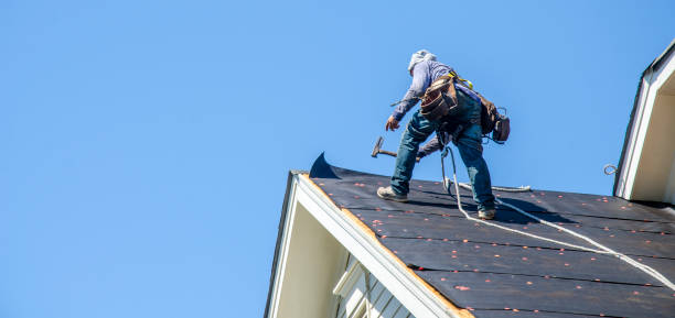Best Shingle Roofing Installation  in Lubeck, WV